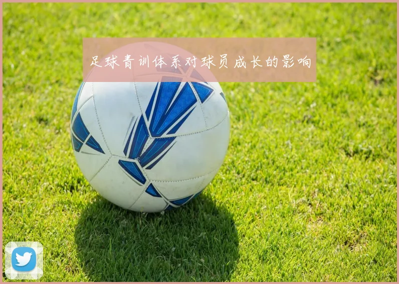 足球青训体系对球员成长的影响