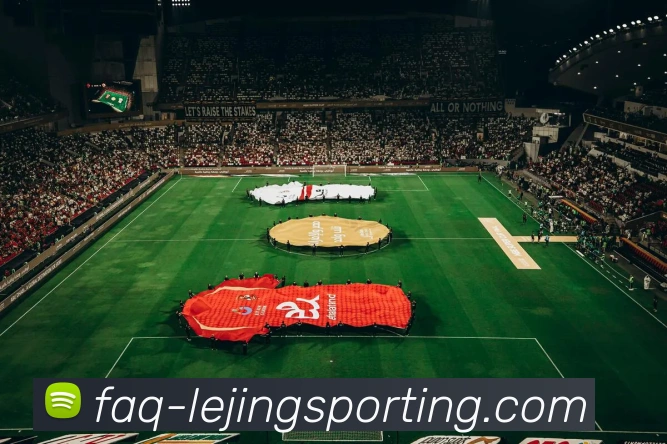 乐竞体育平台生态图